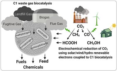 Editorial: Microbial C1 Metabolism and Biotechnology